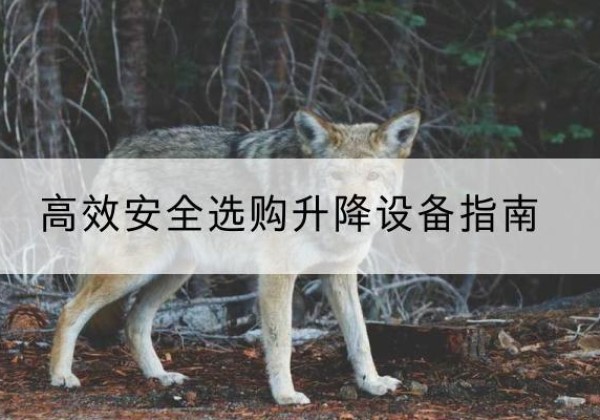 泸县升降货梯厂家推荐-*安全选购升降设备指南