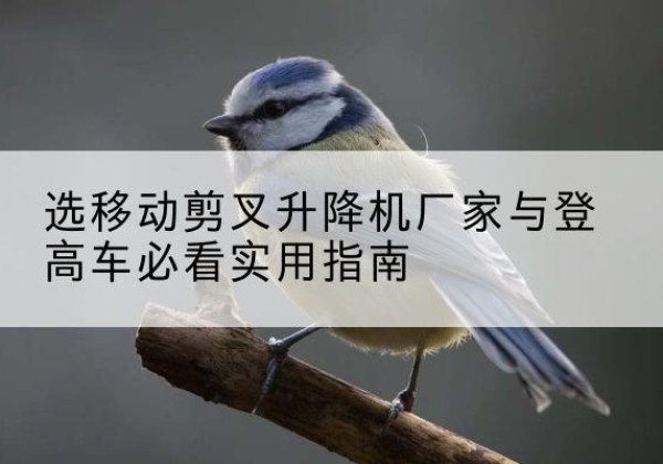 泸县电动升降机厂家-选移动剪叉升降机厂家与登高车必看实用指南