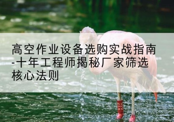 泸县剪叉式升降机厂家-高空作业设备选购实战指南-十年工程师揭秘厂家筛选核心法则